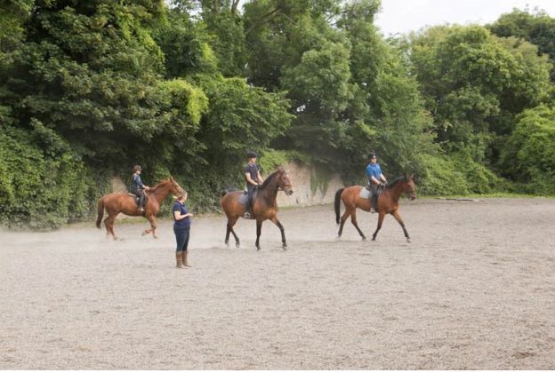 Image of adults at riding lessons
