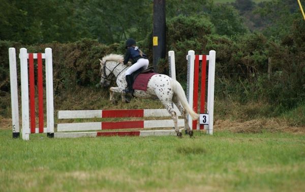 Image of child jumping horse
